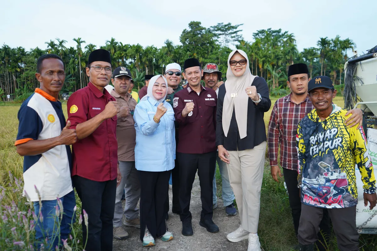 Bupati dan Wakil Bupati Tanjab Timur Panen Cabai dan Padi di Rantau Rasau