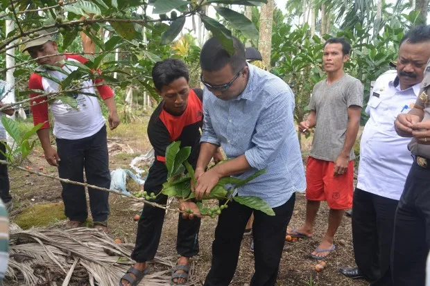 Bupati Kritisi Kinerja OPD