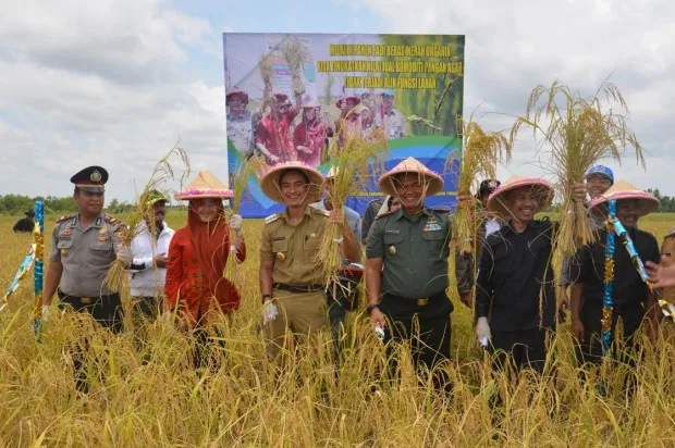 Bersama Wakil Ketua DPRD Provinsi, Zola Panen Beras Merah