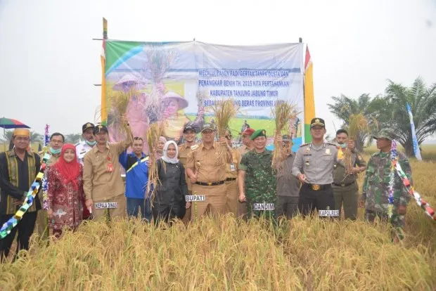 Meski Kemarau, Tanjabtim Bisa Panen Padi