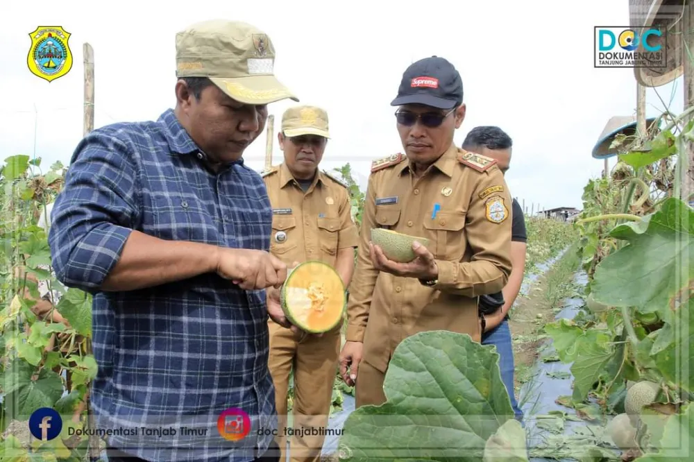 Bupati Panen Melon dan Semangka