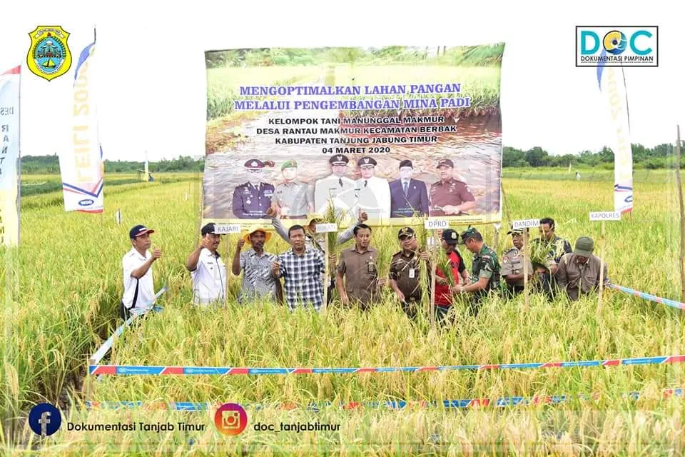 Bupati Panen Raya Mina Padi   