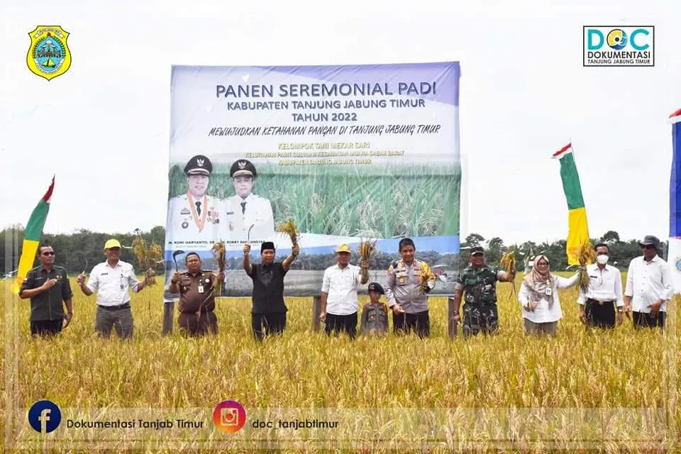 Sekda Panen  Padi di Parit Culum II 