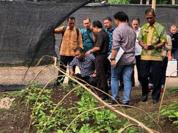 Bupati Himbau Warga Tak Tanam Sawit   