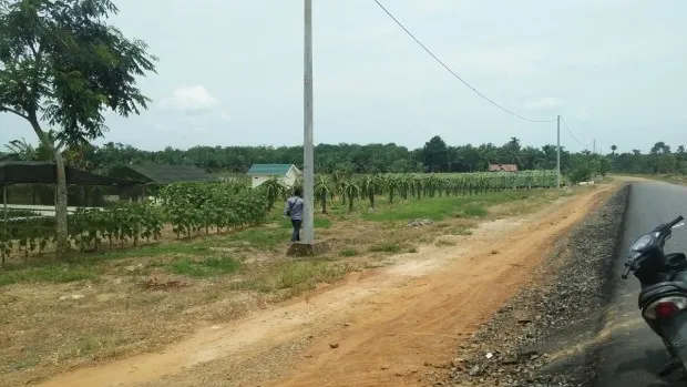 Pemkab Terus Kembangkan Kawasan Agrowisata KTM