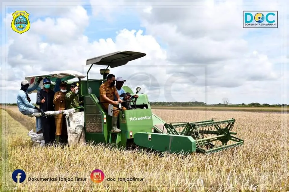 Sekda Panen Raya Padi VUB
