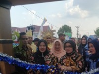 PKK Punya Peran Strategis Sukseskan Program Pemerintah