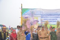 Meski Kemarau, Tanjabtim Bisa Panen Padi
