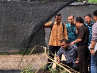 Bupati Himbau Warga Tak Tanam Sawit   