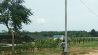 Pemkab Terus Kembangkan Kawasan Agrowisata KTM